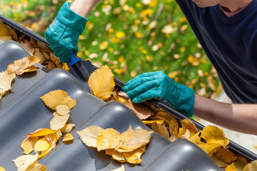 Roof maintenance tips
